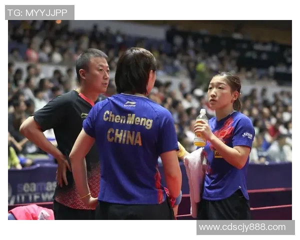 南京乒乓球队的辉煌征程与世锦赛的荣耀时刻回顾