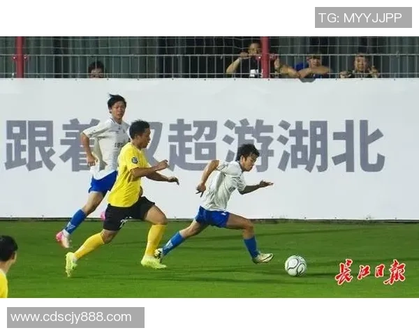 武汉足球队的战术风格与赛季表现深度解析