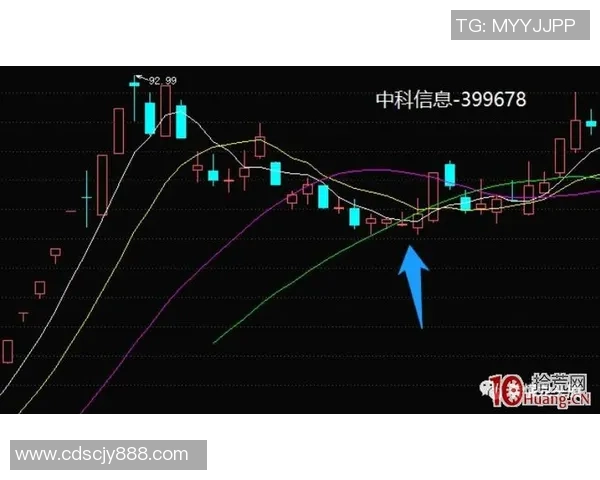 深圳排球队与上海排球队赛后复盘分析意识碰撞的深度探讨 深圳排球队与上海排球队赛后复盘分析意识碰撞的深度探讨