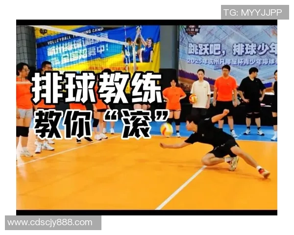 重庆排球队区域防守策略解析与战术创新探讨 重庆排球队区域防守策略解析与战术创新探讨